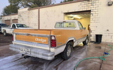 Dodge-D100-1973-1