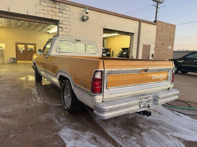 Dodge-D100-1973-2