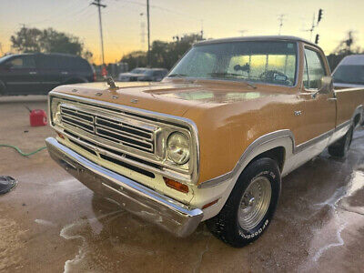 Dodge-D100-1973-4