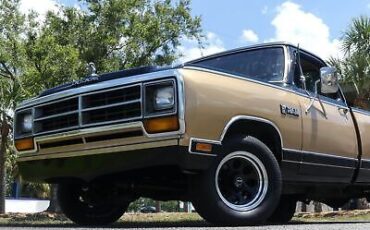 Dodge-D100-Series-Pickup-1986-10