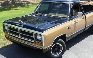 Dodge-D100-Series-Pickup-1986-11