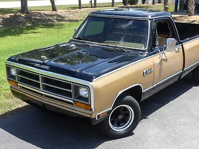 Dodge-D100-Series-Pickup-1986-11