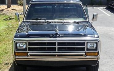 Dodge-D100-Series-Pickup-1986-14