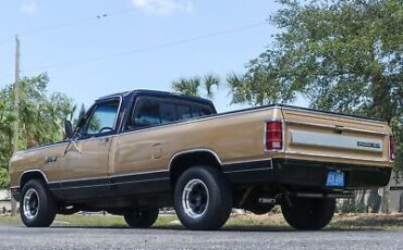 Dodge-D100-Series-Pickup-1986-18