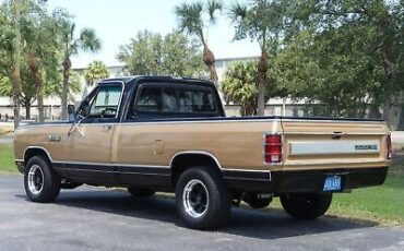 Dodge-D100-Series-Pickup-1986-19