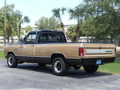 Dodge-D100-Series-Pickup-1986-19