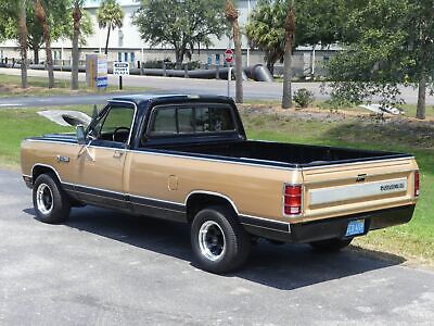 Dodge-D100-Series-Pickup-1986-20