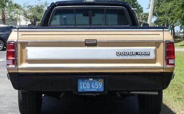 Dodge-D100-Series-Pickup-1986-22