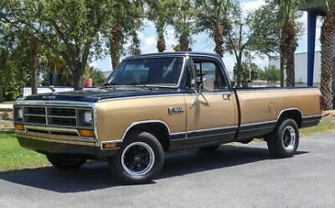 Dodge D100 Series Pickup 1986