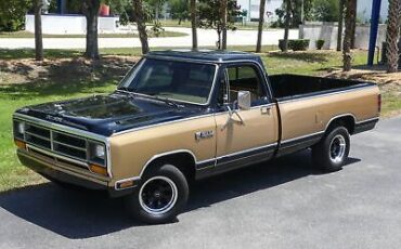 Dodge-D100-Series-Pickup-1986-7