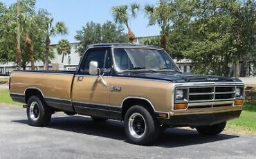 Dodge-D100-Series-Pickup-1986-8