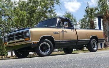 Dodge-D100-Series-Pickup-1986-9