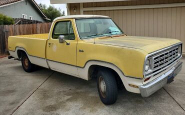 Dodge-D100-adventurer-1974-2