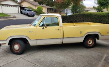 Dodge-D100-adventurer-1974-21