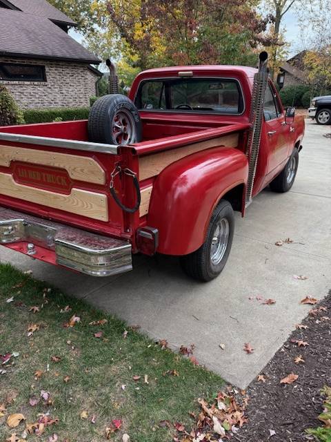 Dodge-D150-1979-5