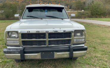 Dodge-D350-4x2-club-cab-diesel-1993-4