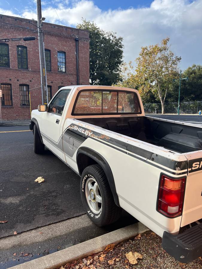 Dodge-Dakoda-shelby-1989-4