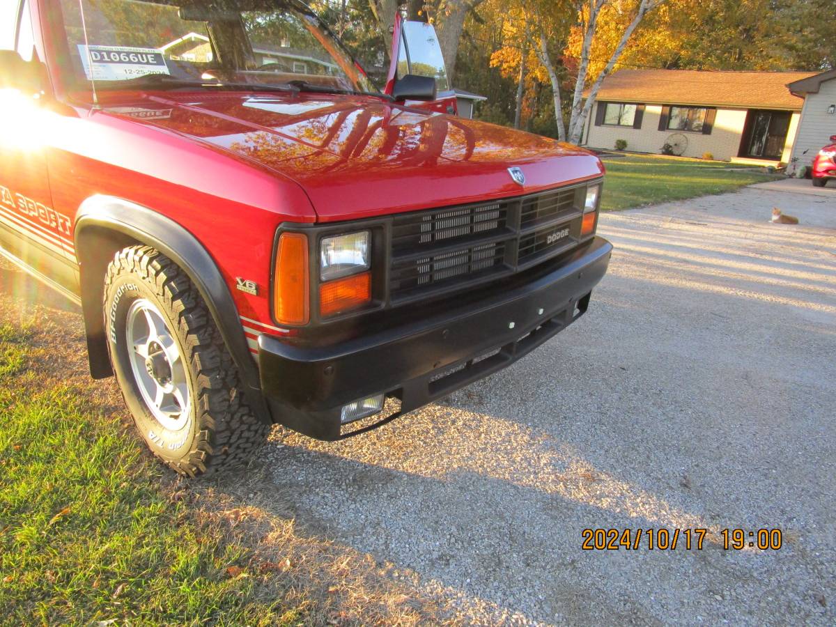 Dodge-Dakota-andn-base-1989-8