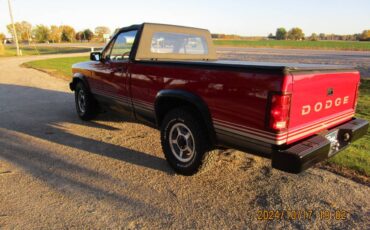 Dodge-Dakota-sport-convertible-1989-8