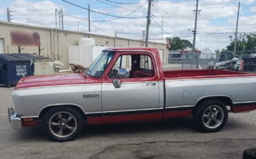 Dodge-Other-Pickups-1988-33