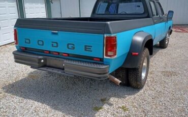 Dodge-Other-Pickups-Pickup-1977-9