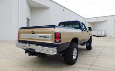 Dodge-Other-Pickups-Pickup-1990-10