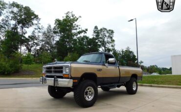 Dodge-Other-Pickups-Pickup-1990-2