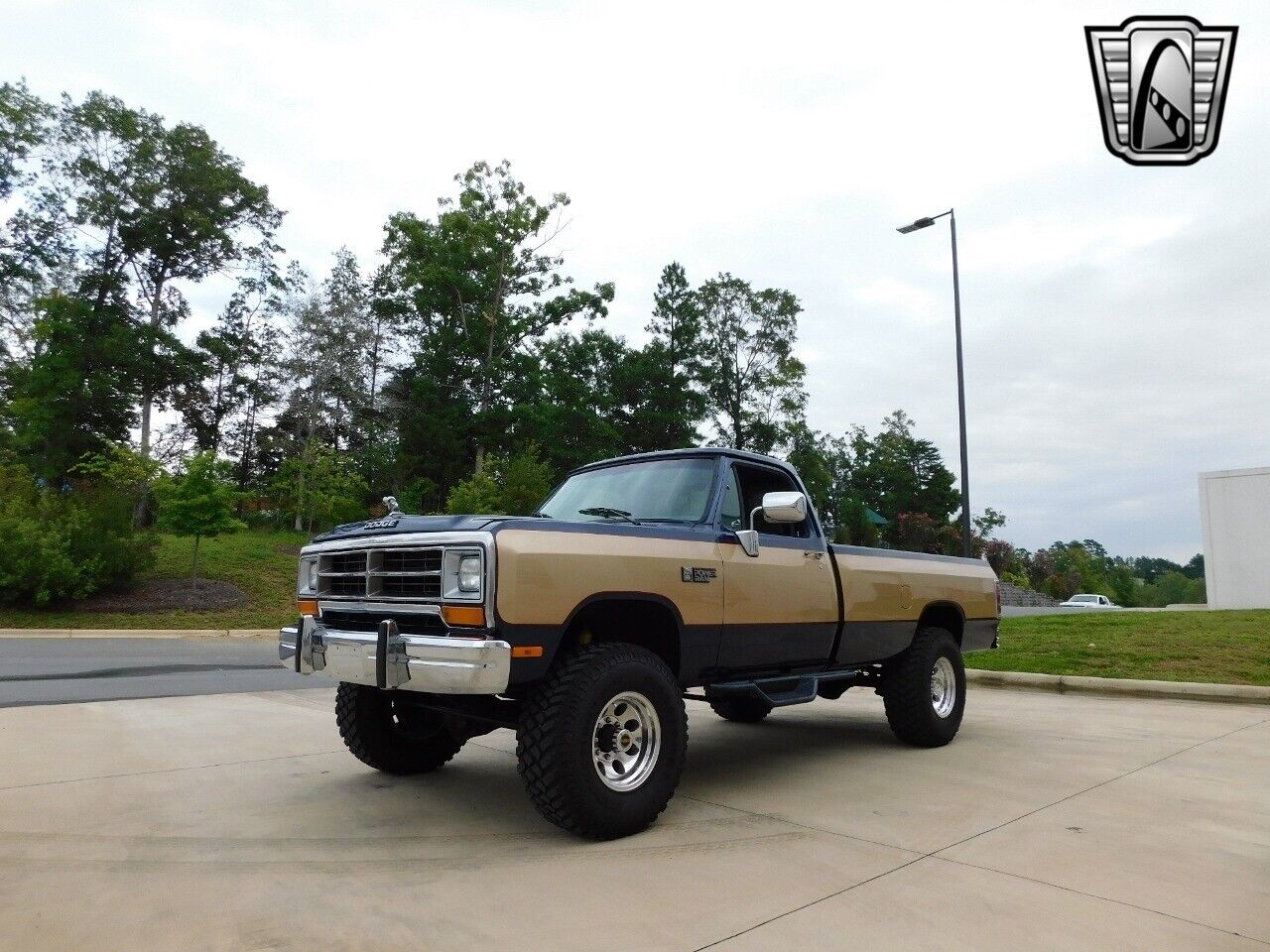 Dodge-Other-Pickups-Pickup-1990-2