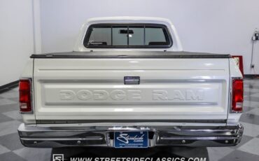 Dodge-Other-Pickups-Pickup-1991-9