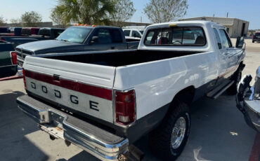 Dodge-Other-Pickups-Pickup-1992-1