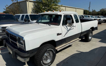 Dodge Other Pickups Pickup 1992