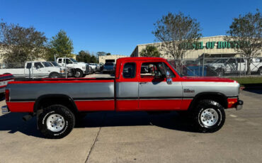 Dodge-Other-Pickups-Pickup-1993-5