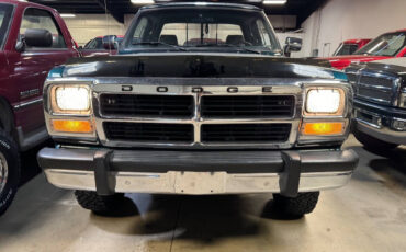 Dodge-Other-Pickups-Pickup-1993-7