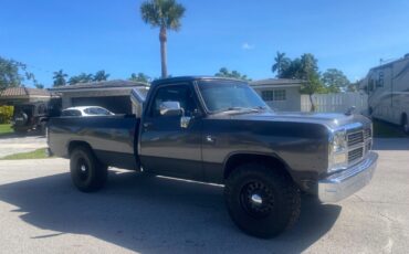 Dodge-Power-Wagon-1991-3