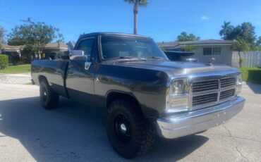 Dodge Power Wagon  1991