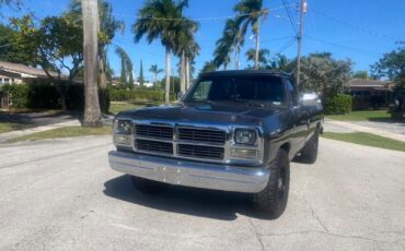 Dodge-Power-Wagon-1991-4