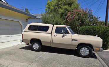 Dodge-Ram-150-1983-1