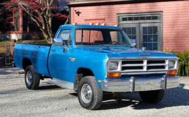 Dodge-Ram-d150-1990-23