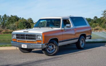 Dodge-Ramcharger-1990-25