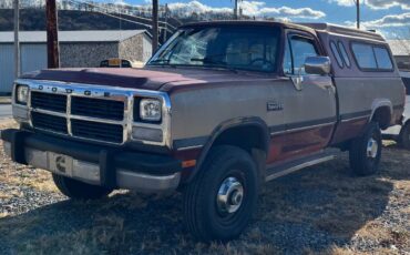 Dodge-W-series-w250-diesel-1993-3