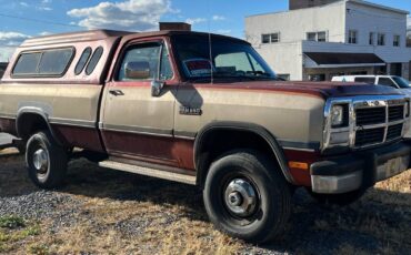 Dodge-W-series-w250-diesel-1993-5