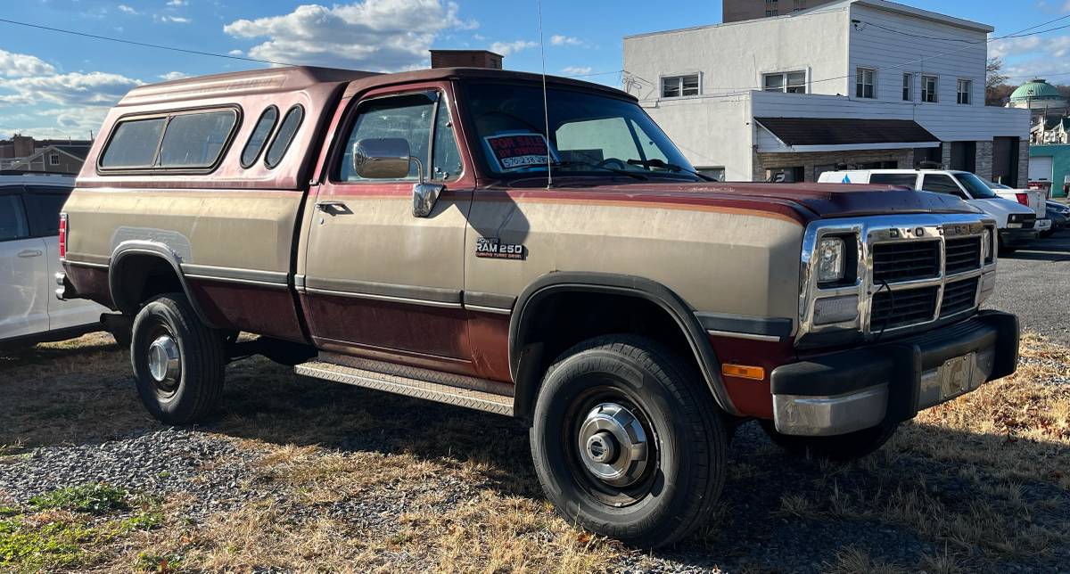 Dodge-W-series-w250-diesel-1993-5