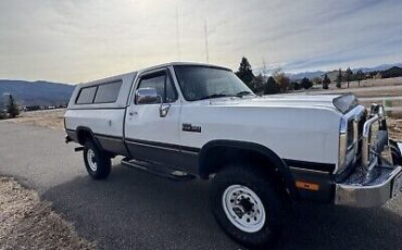 Dodge-W300-Series-1992-18