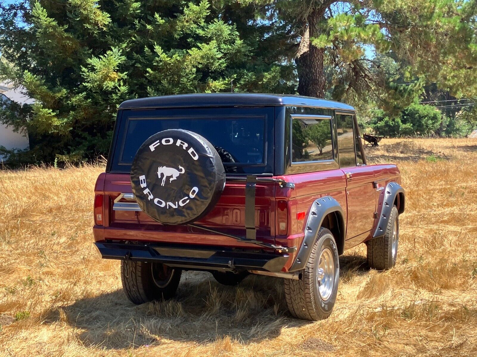 Ford-Bronco-1974-23