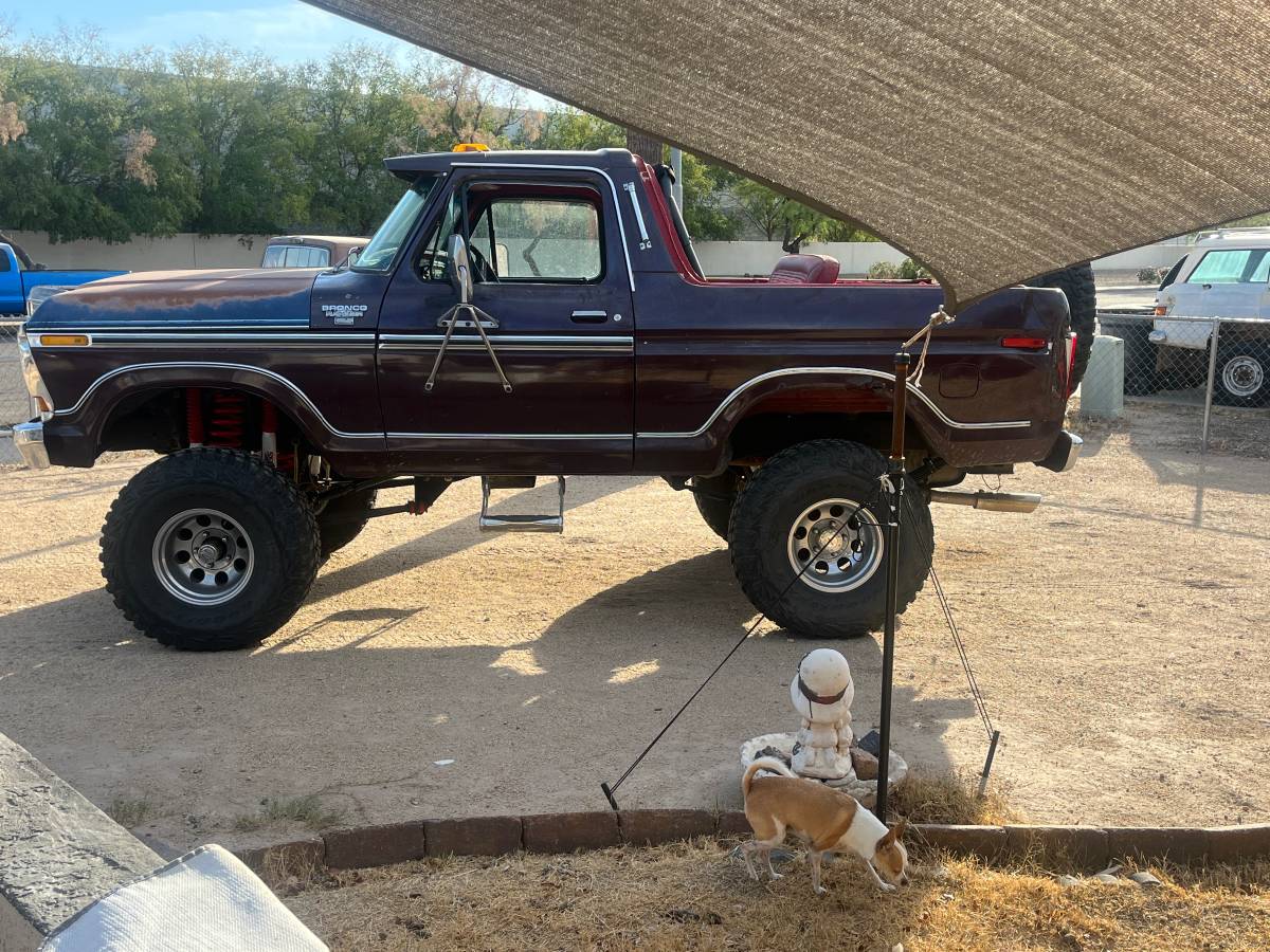 Ford-Bronco-1978-6