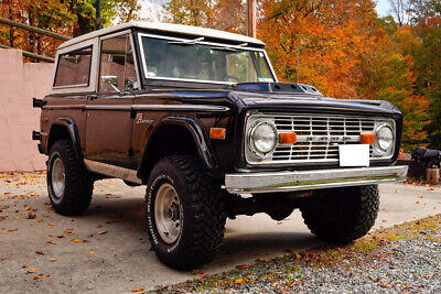 Ford-Bronco-Pickup-1976-11