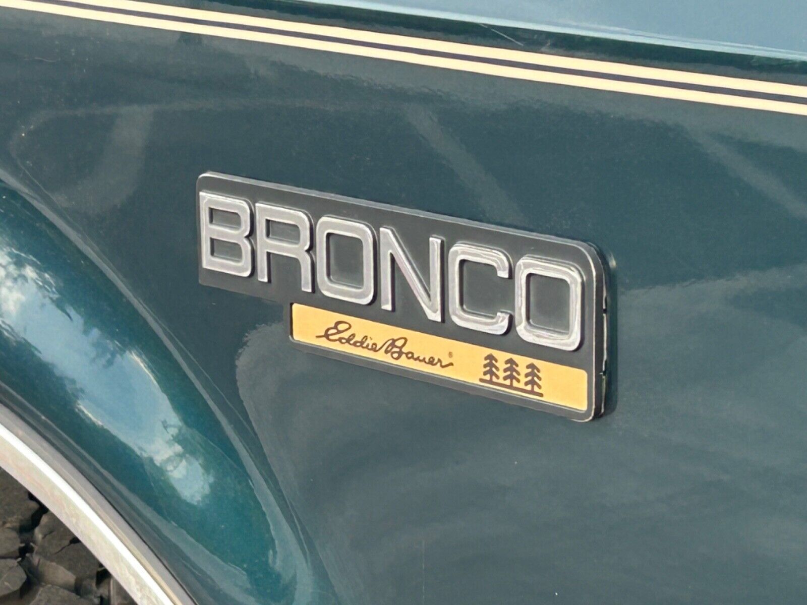 Ford-Bronco-SUV-1995-4