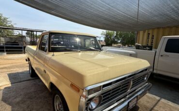 Ford-F-100-1973-6