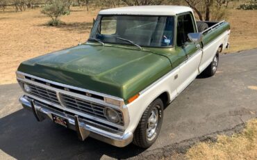 Ford-F-150-1975-11