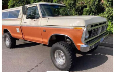 Ford F-150  1976 à vendre